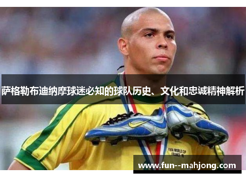 萨格勒布迪纳摩球迷必知的球队历史、文化和忠诚精神解析